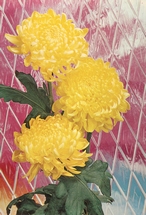Blumen  14,5 x 10 cm